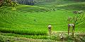Bali - Indonesia